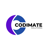 Codimate Solutions Logo