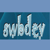 SWB Developing Company Logo