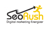 SEO-Rush Logo