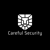 Careful Security Logo