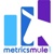 MetricsMule Logo