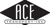 ACE Transport, INC Logo