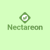 Nectareon Technologies Logo
