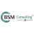 BSM Consulting Logo