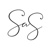 SAS Weddings Logo