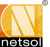 Netsol IT Solutions Pvt. Ltd. Logo