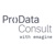 ProData Consult Logo