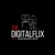 DigitalFlix Solutions Pvt Ltd Logo