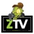 ZTV Production Company Logo