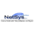 NetSys Interactive Inc Logo