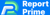 Reportprime Logo