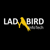 LadyBird InfoTech, LLC. Logo