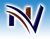 Neovision Consulting Inc Logo