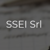 SSEI Logo