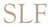Satter Law Firm, PLLC Logotype