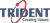 Trident Information Systems Pvt. Ltd. Logo