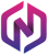 Provider Logotype Next Vision Logo