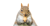 Chunky Squirrel Logo