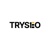 TRYSEO Logotype