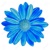 Blue Daisy Design Logo