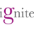 Ignite Consulting Logo