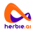 Provider Logotype Herbie Ai Logo
