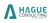 Hague Consulting Logo