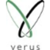Verus Technology Solutions, Inc. Logo