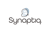 Synaptiq Logo