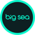 Big Sea Logo