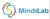 Beijing Mindslab Marketing Consulting Co., Ltd. Logo