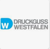 Druckguss Westfalen GmbH & Co. KG Logo