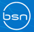 BSN Latam Logo