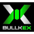 Bullkex Logo