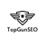 TopGun SEO Logotype