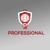 Professional Web Experts Logo