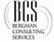 Bergman Consulting Services Logo