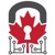 CANADIAN CYBERSECURITY INC. Logo