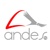 Andes Television Logo