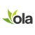 Ola Design Works Logo