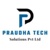 PraudhaTech Solutions Logo