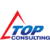 Top Consulting Logo