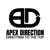 APEX Direction Logo