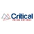 Critical Prism Defense LLC Logo