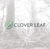 Clover Leaf Solutions, LLC Logo