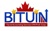 Bituin Tax and Accounting Services Logo