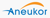 ANEUKOR LLC Logo