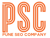 Pune SEO COMPANY Logo