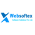 Websoftex Software Solution Logo