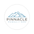 Pinnacle Pursuit SEO Logo